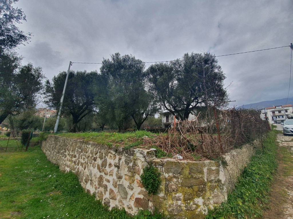 Terreno a Novi velia in Via dei Prati - Foto 3