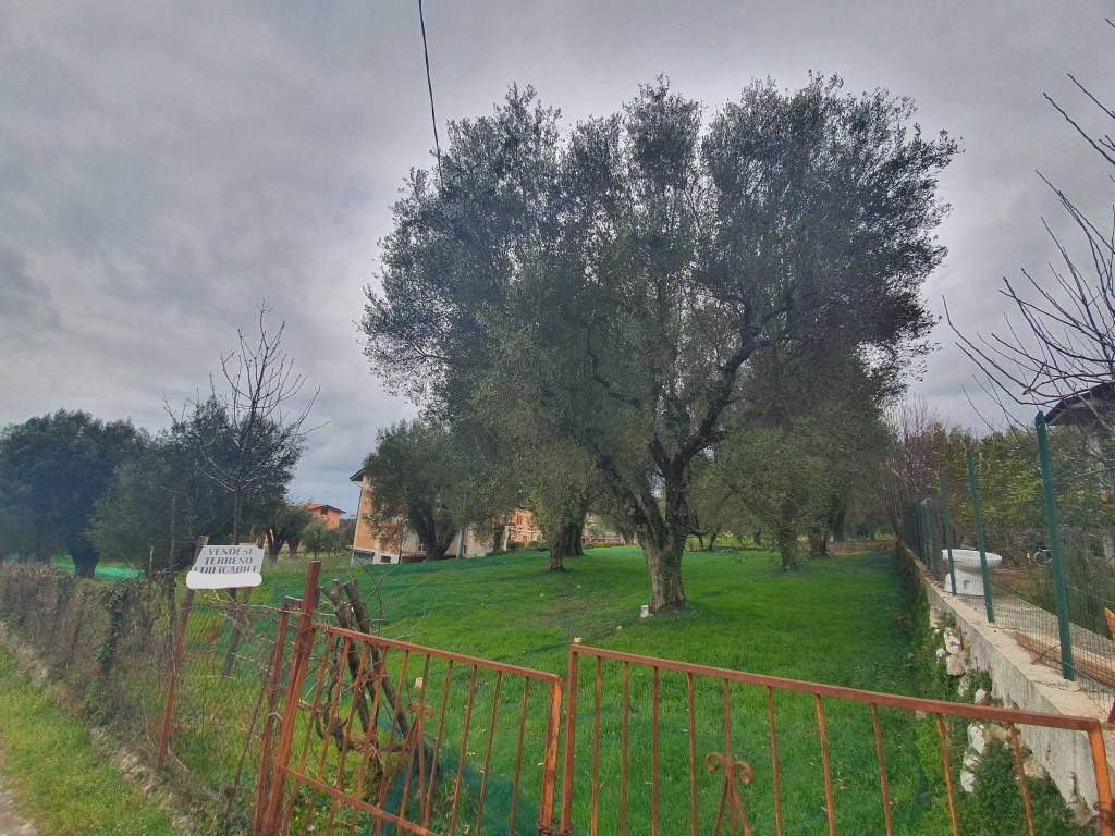 Terreno a Novi velia in Via dei Prati - Foto 5