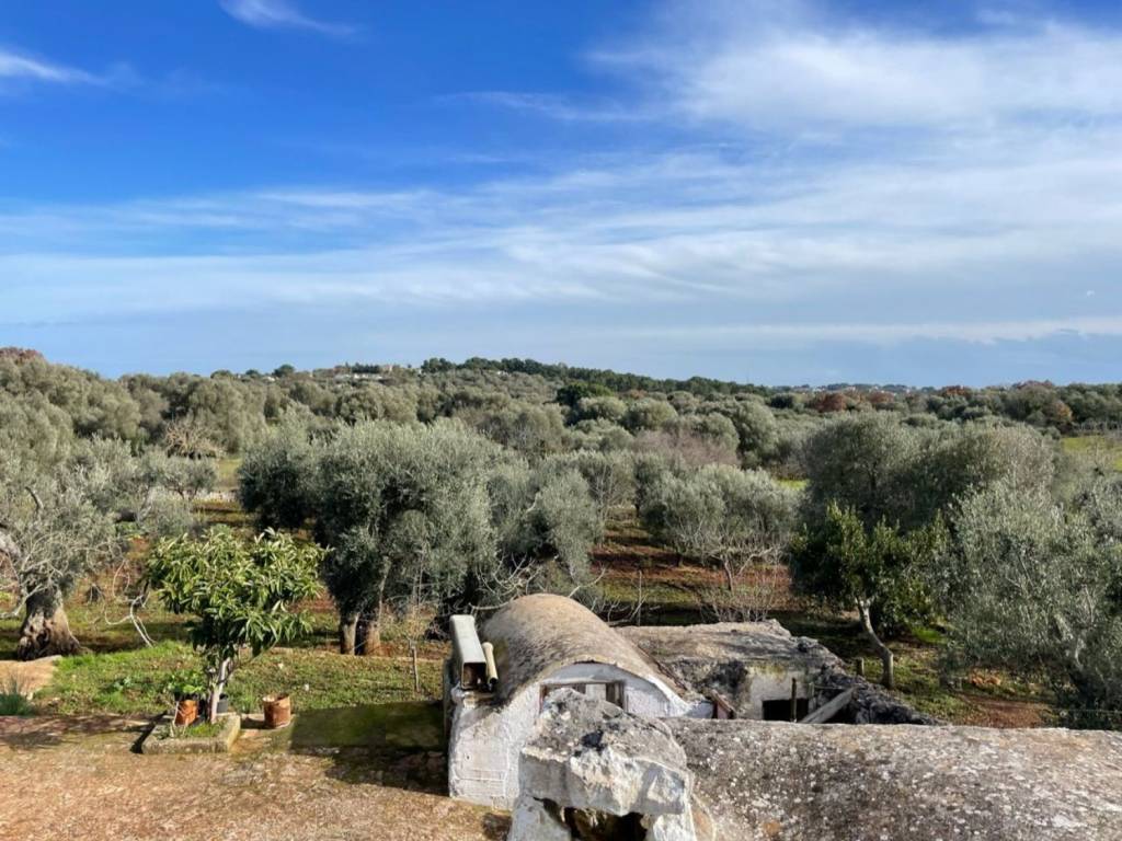 Rustico / casale a Ceglie messapica in Contrada monte allegro - Foto 4