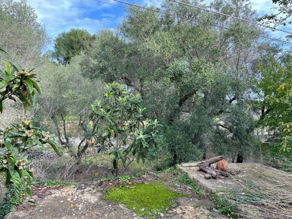 Rustico / casale a Ceglie messapica in Contrada faddocchia - Foto 5