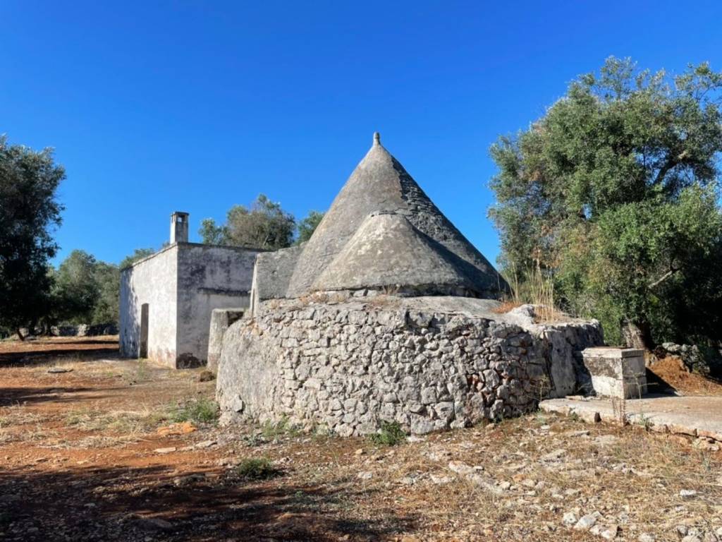 Rustico / casale a Ceglie messapica in Contrada camarda - Foto 4