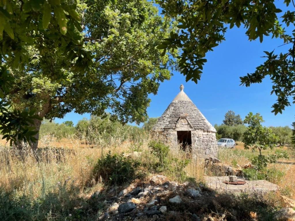 Rustico / casale a Ostuni in Contrada fogliarella - Foto 4