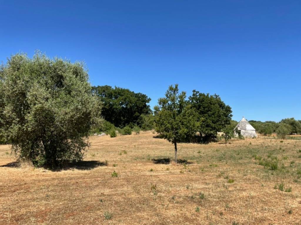 Rustico / casale a Ostuni in Contrada fogliarella - Foto 5