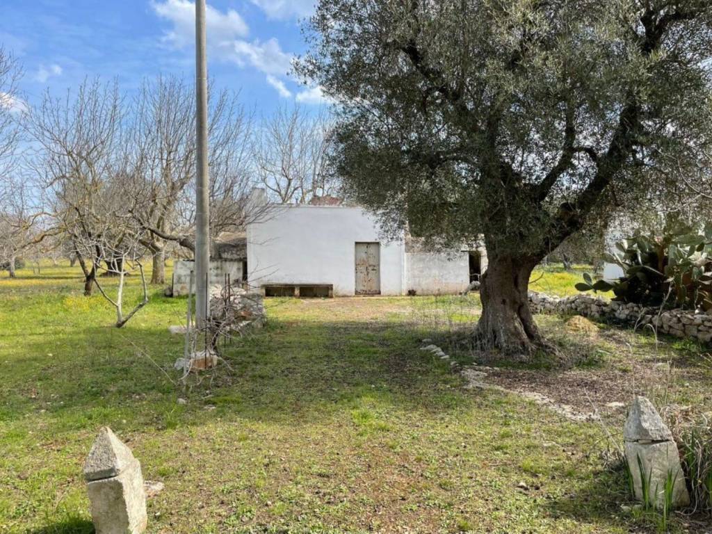 Rustico / casale a Ostuni in Contrada galluzzo - Foto 2