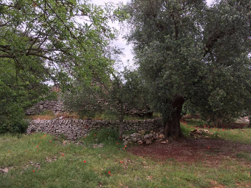 Appartamento a Ceglie messapica in Contrada fedele piccolo - Foto 4