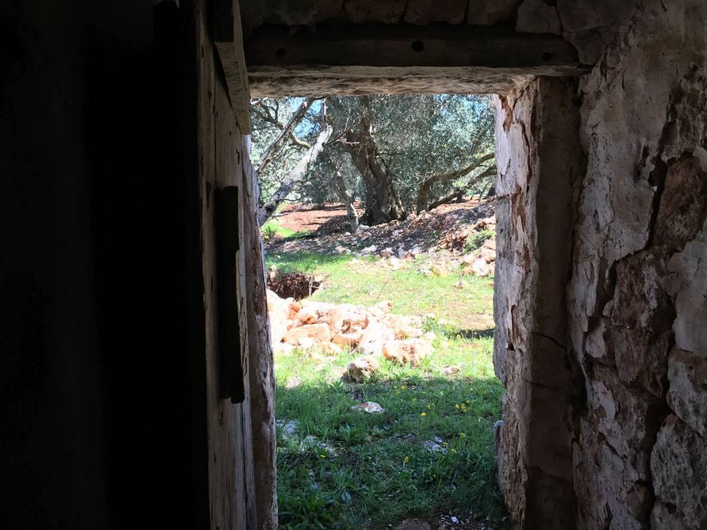 Appartamento a Ceglie messapica in Contrada fedele piccolo - Foto 5