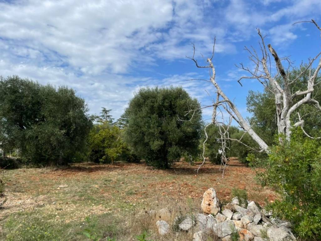 Rustico / casale a Ceglie messapica in Contrada lama lupina - Foto 3