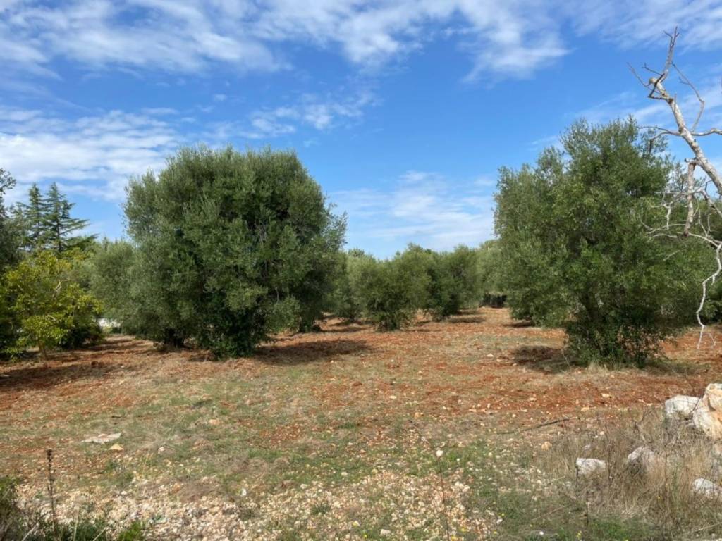 Rustico / casale a Ceglie messapica in Contrada lama lupina - Foto 5