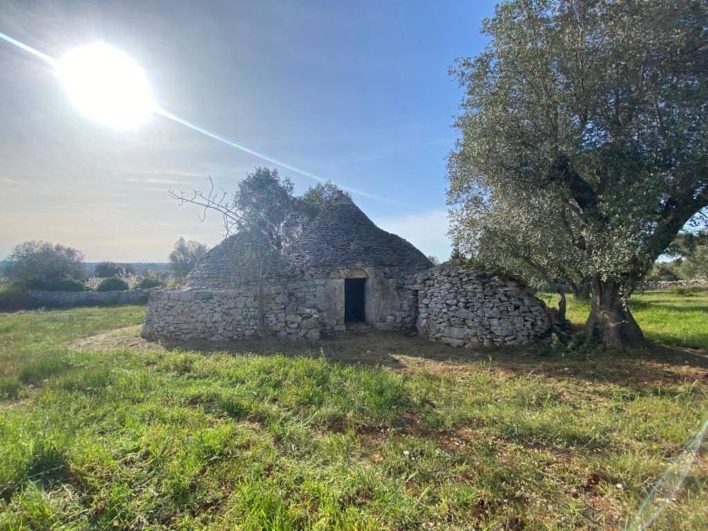 Rustico / casale a Ceglie messapica in Contrada giancamisa - Foto 3