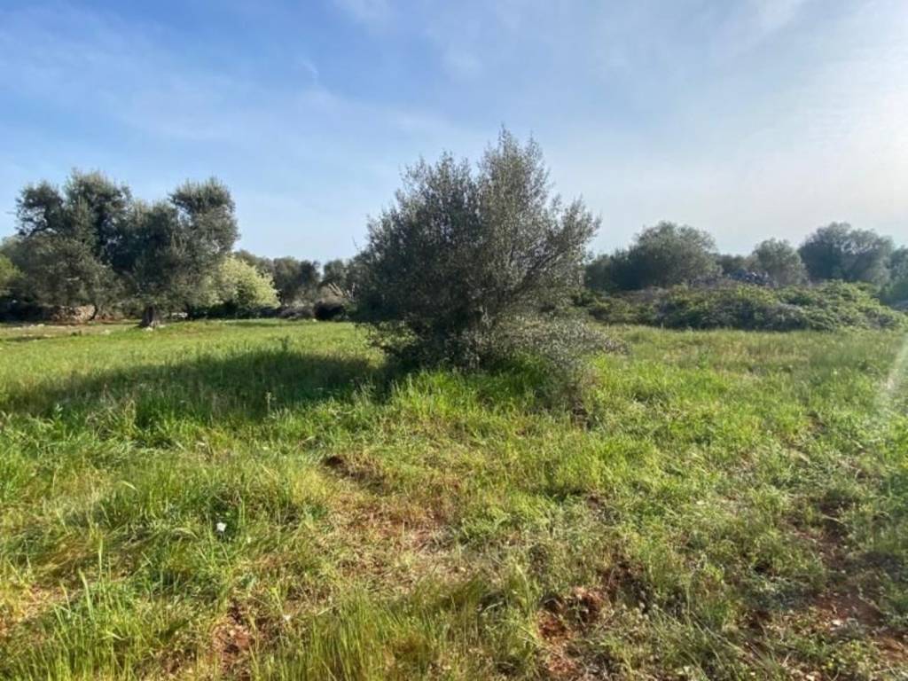 Rustico / casale a Ceglie messapica in Contrada giancamisa - Foto 4