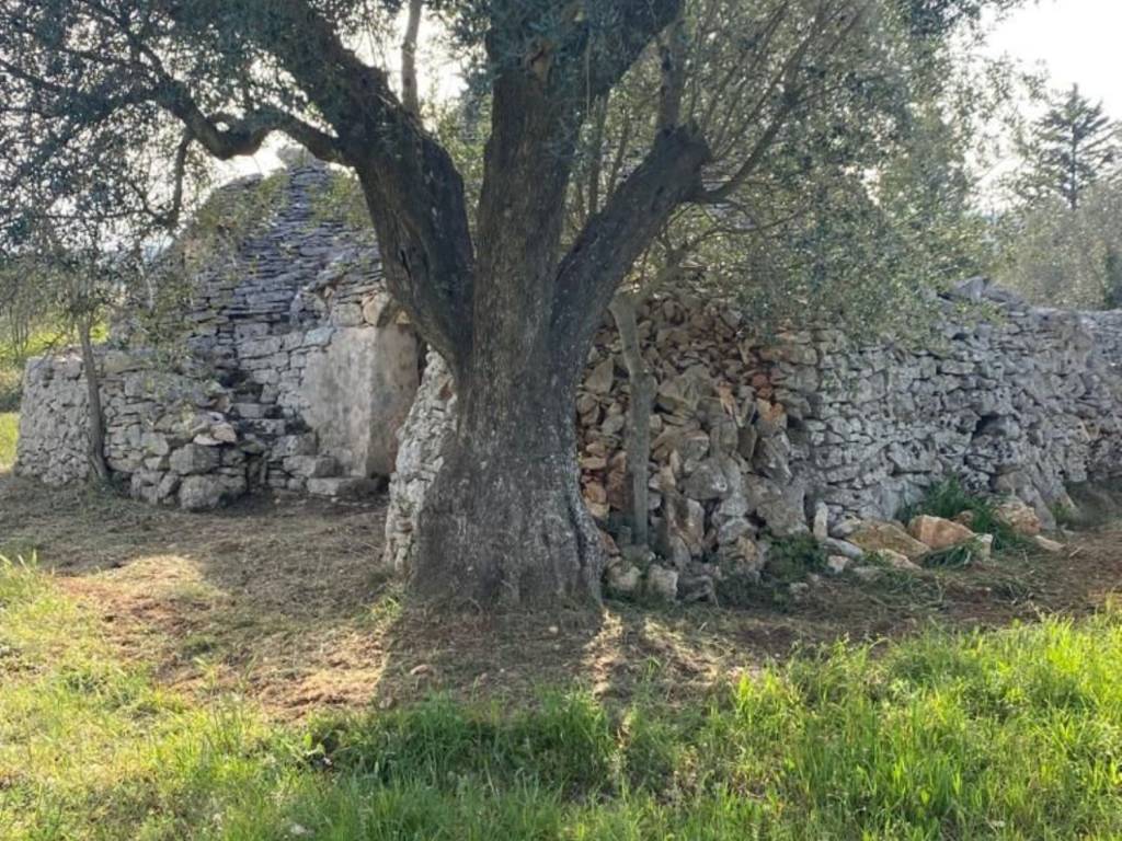 Rustico / casale a Ceglie messapica in Contrada giancamisa - Foto 5