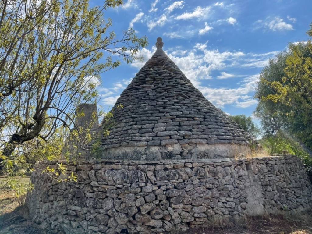 Rustico / casale a Ceglie messapica in Contrada pezze santangelo - Foto 2