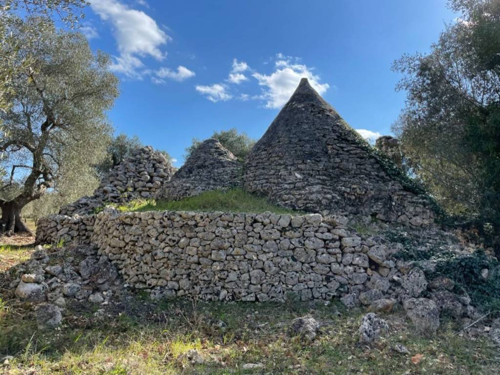 Rustico / casale a Martina franca in Contrada cuoco - Foto 2