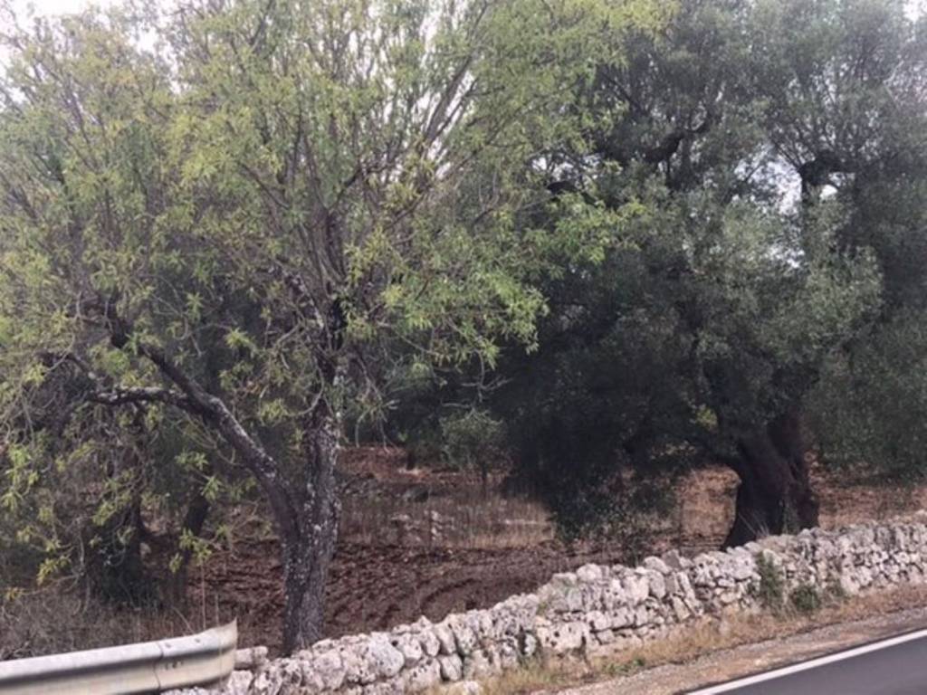 Rustico / casale a Ceglie messapica in Contrada Tarturiello - Foto 3