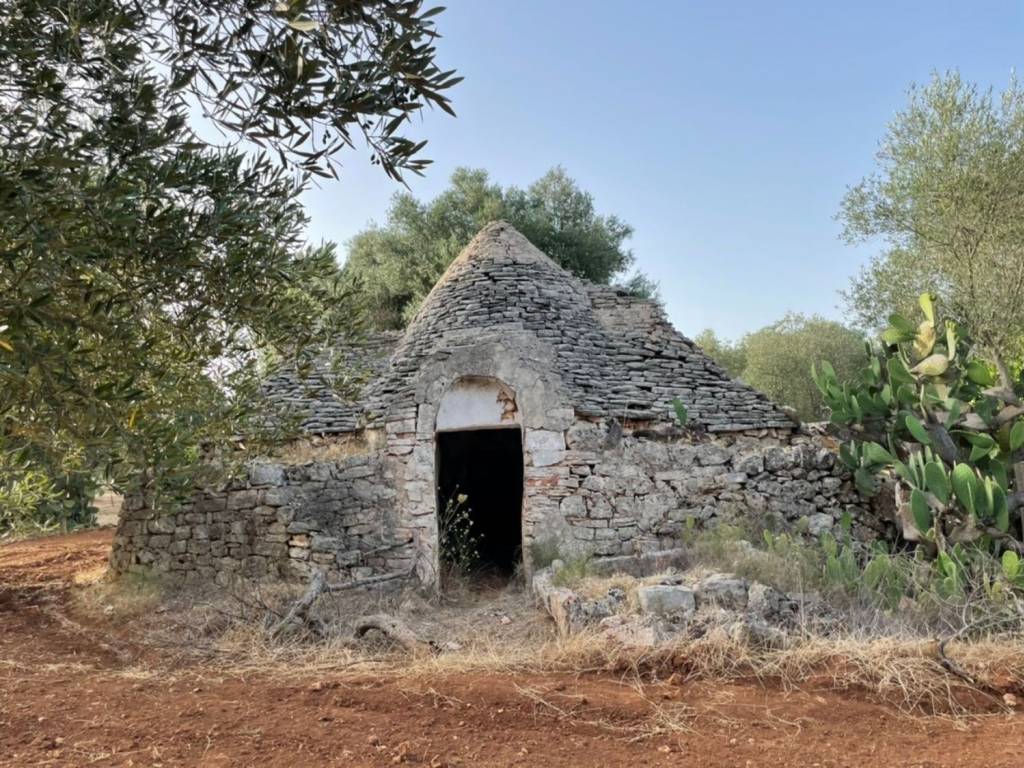 Rustico / casale a Francavilla fontana in Contrada capece - Foto 3