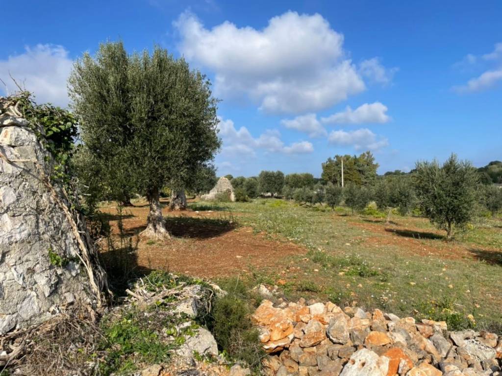 Rustico / casale a Ceglie messapica in Contrada Montepizzuto - Foto 2