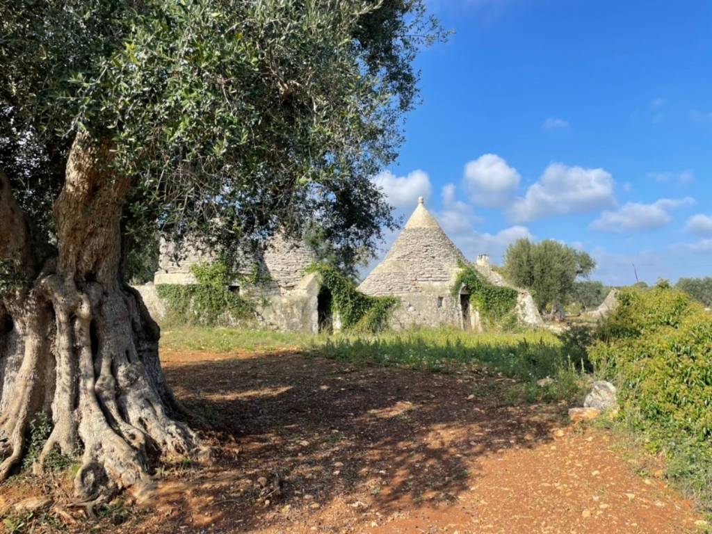 Rustico / casale a Ceglie messapica in Contrada Montepizzuto - Foto 3