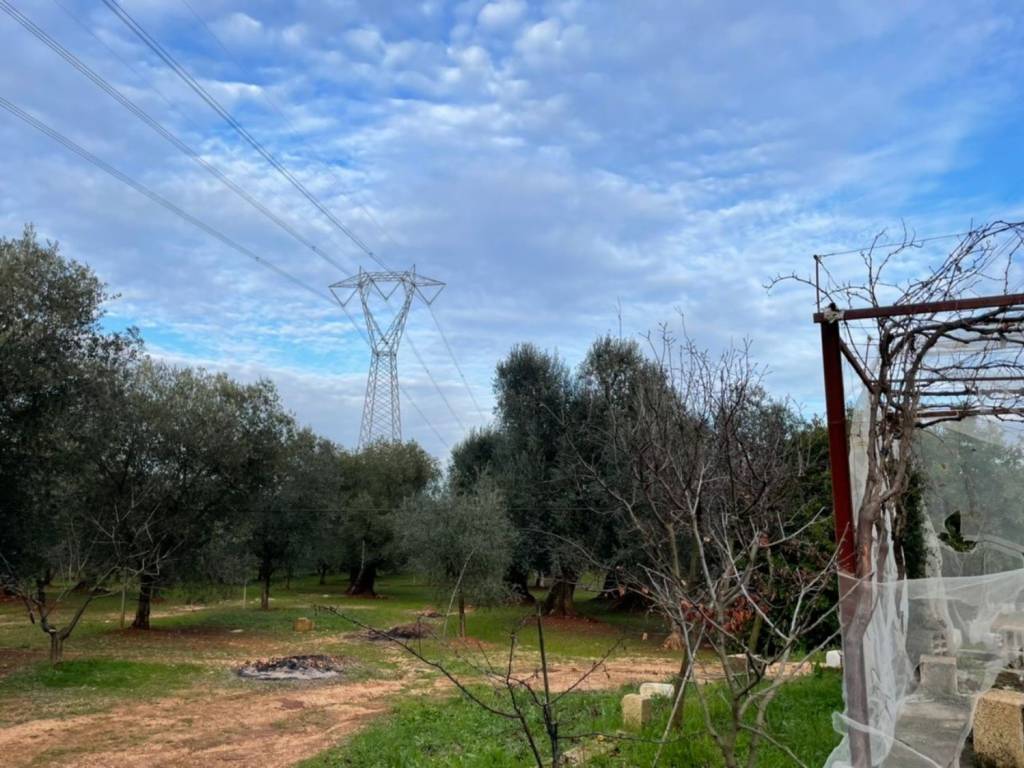 Terreno a Francavilla fontana in Contrada palmarino - Foto 3