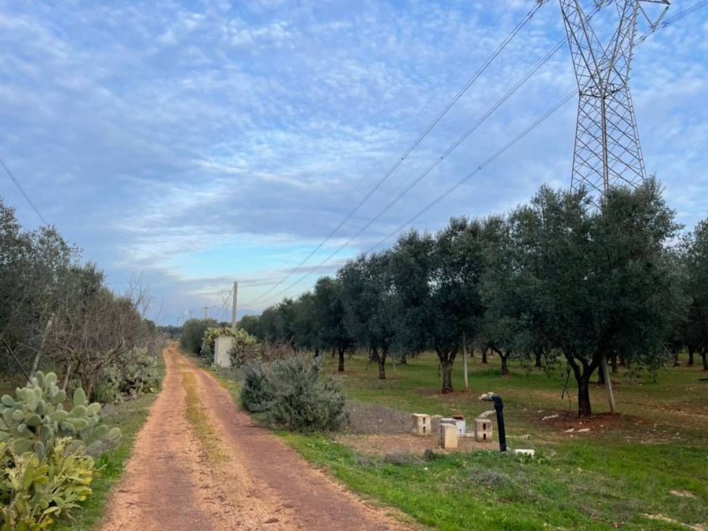 Terreno a Francavilla fontana in Contrada palmarino - Foto 5
