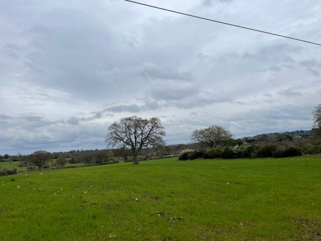 Terreno a Ceglie messapica in Contrada San Pietro - Foto 4