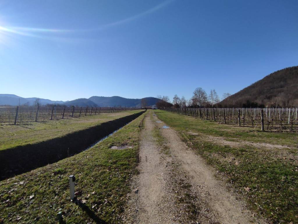 Rustico / casale a Abano terme - Foto 2