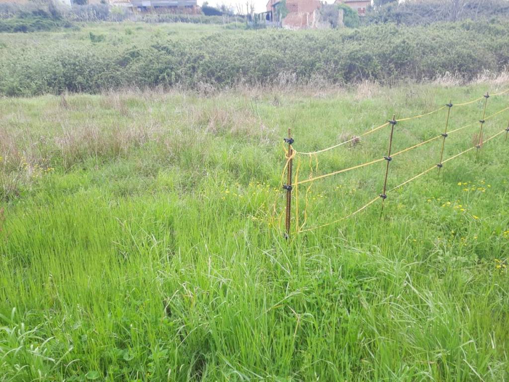 Rustico / casale a Capannori - Foto 3