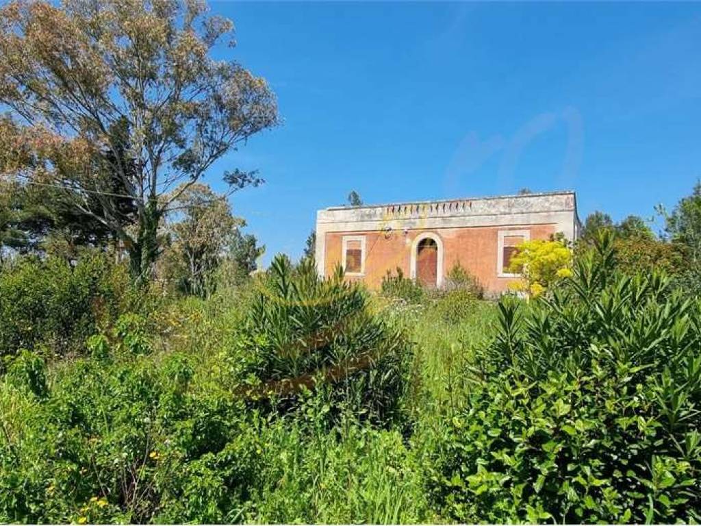 Rustico / casale a Ostuni - Foto 5
