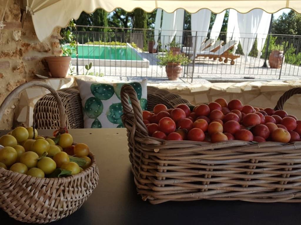 Rustico / casale a Massa marittima - Foto 4