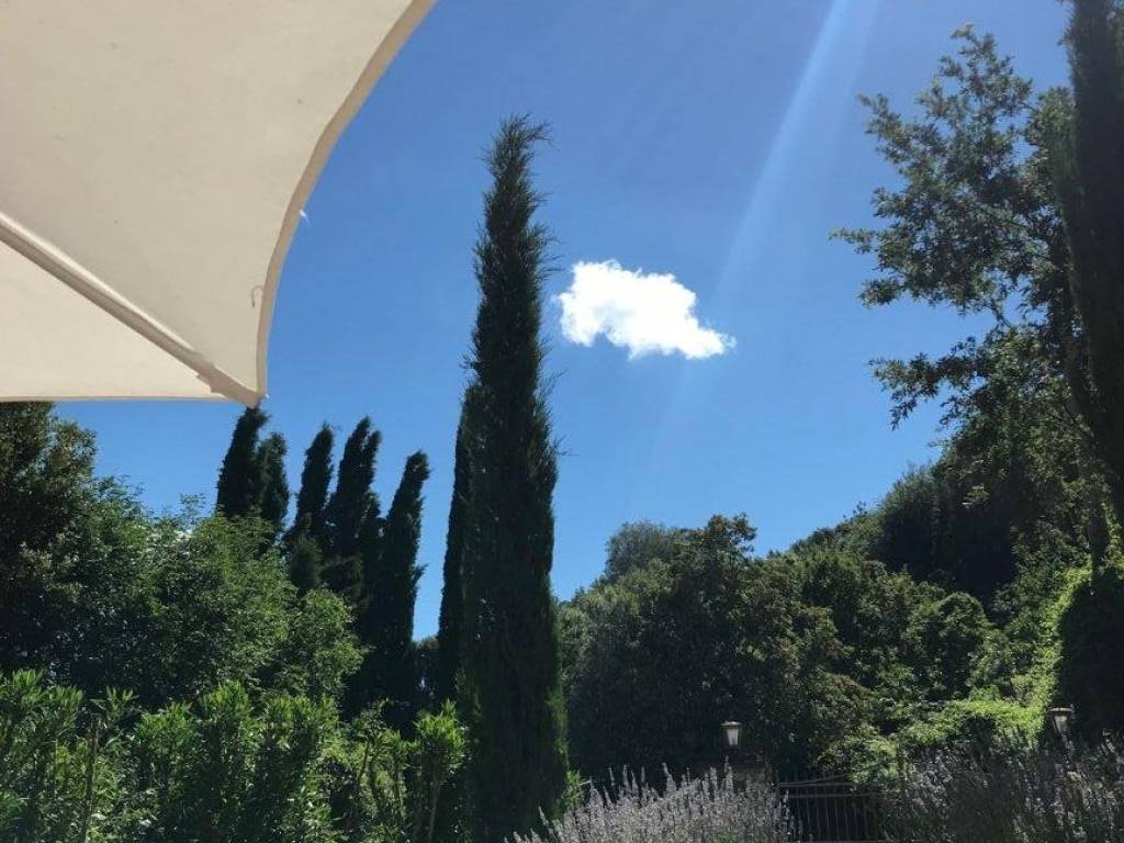 Rustico / casale a Gavorrano - Foto 5