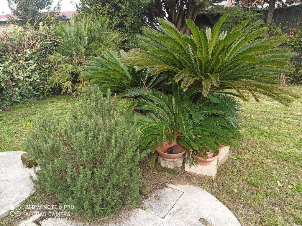 Casa indipendente a Latina - Foto 5
