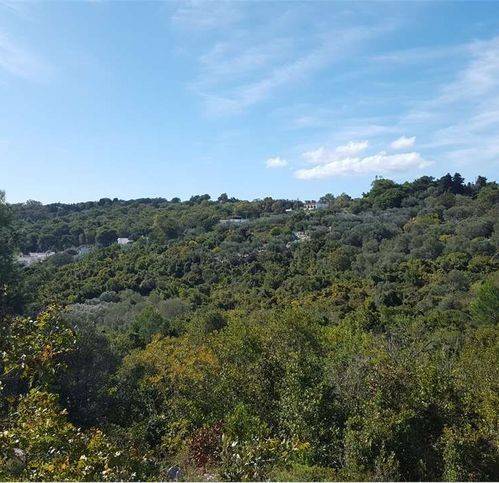 Rustico / casale a Tricase in Borgo Pescatori - Foto 5