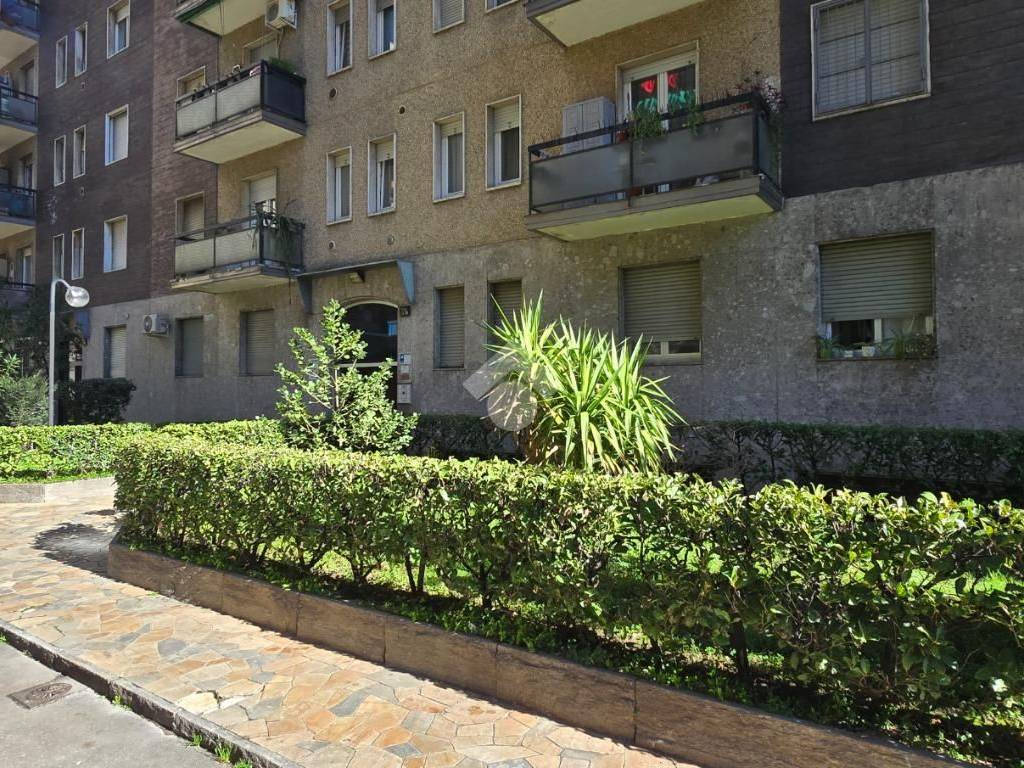 Appartamento a Cinisello balsamo in Viale Romagna, 31 - Foto 2