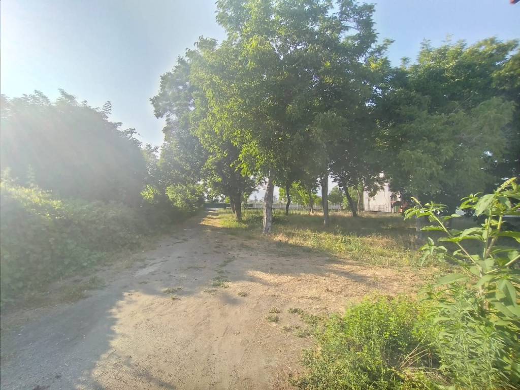 Terreno a Nola - Foto 2