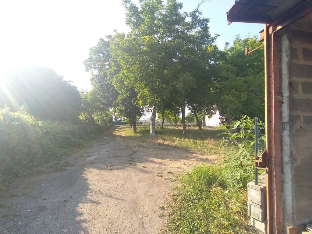 Terreno a Nola - Foto 3