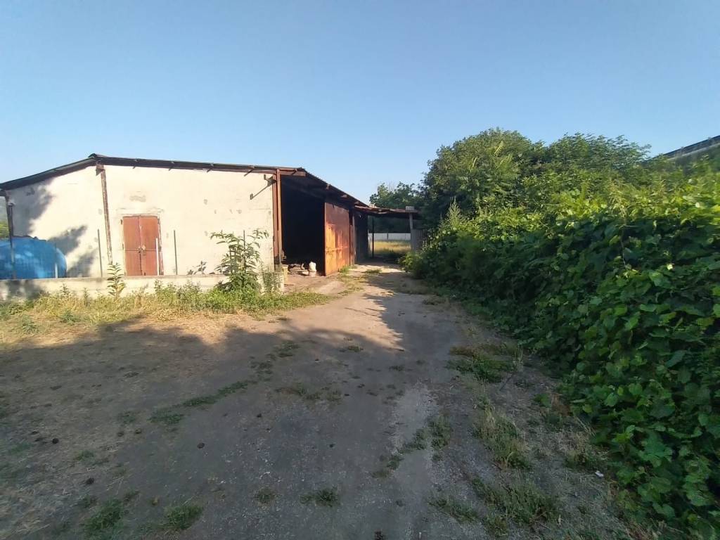 Terreno a Nola - Foto 5