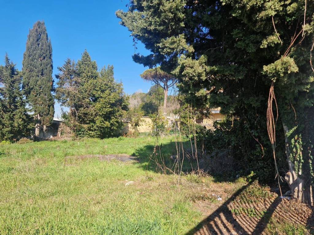 Terreno a Ardea in Via Mare Noto - Foto 5