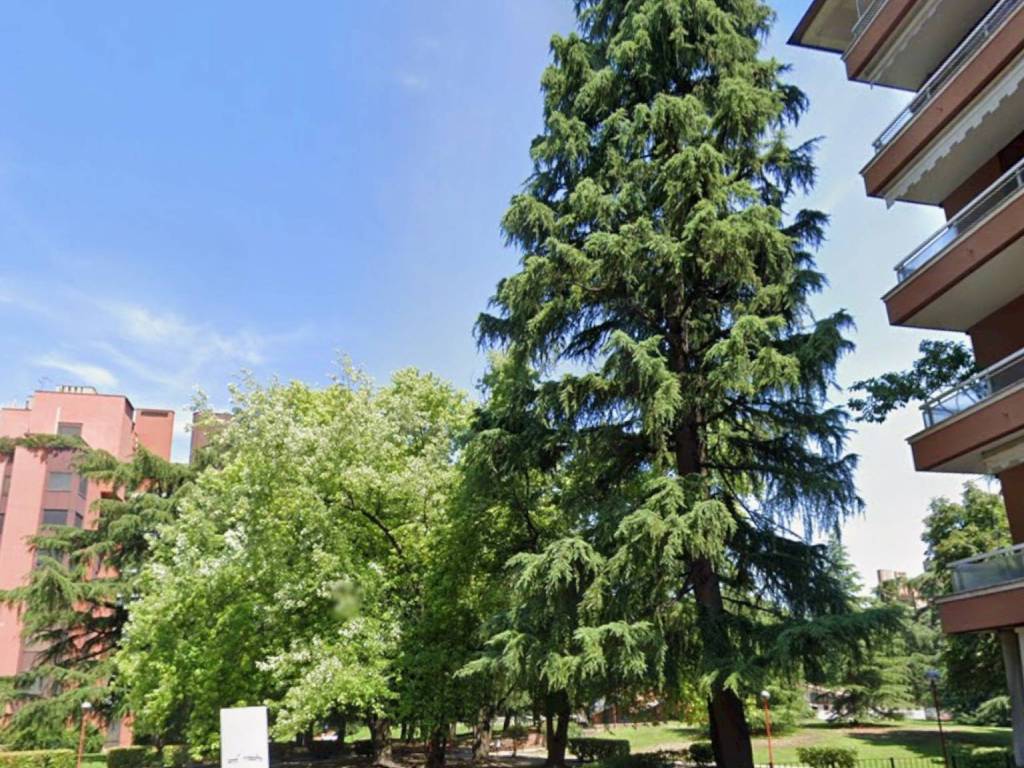 Appartamento a Segrate in Residenza Poggio - Foto 3