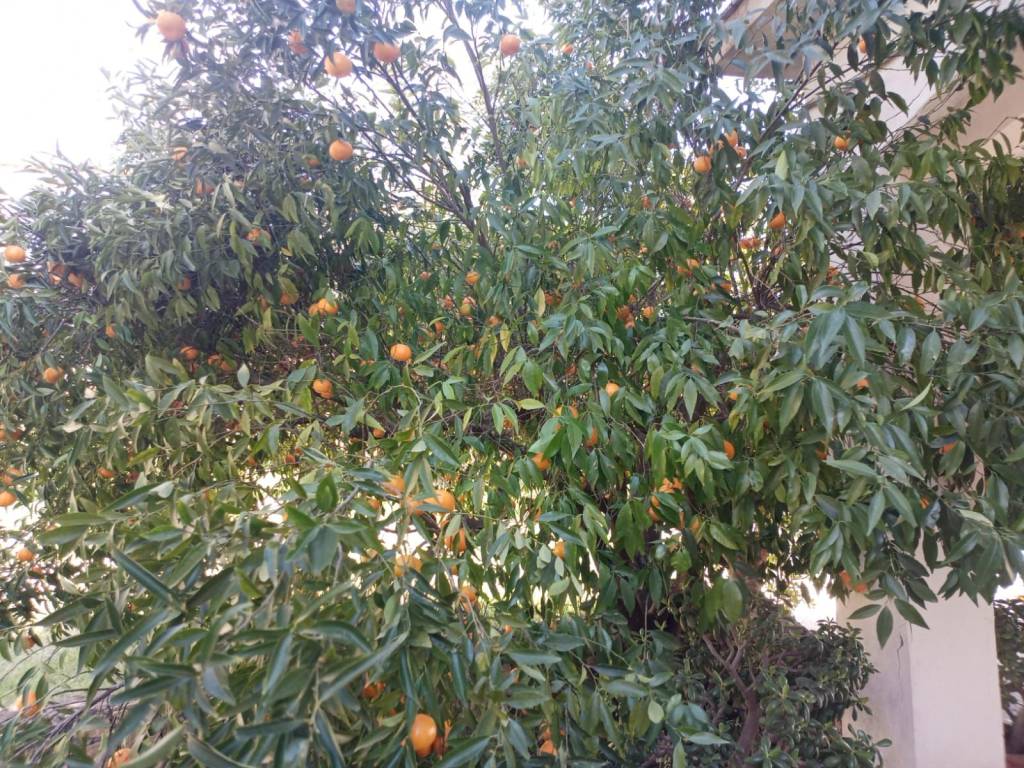 Villa a Pietraperzia in Strada Vicinale Menta, 4 - Foto 3