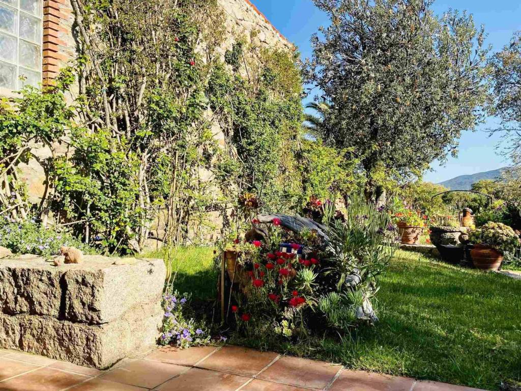 Villetta a schiera a Olbia - Foto 5