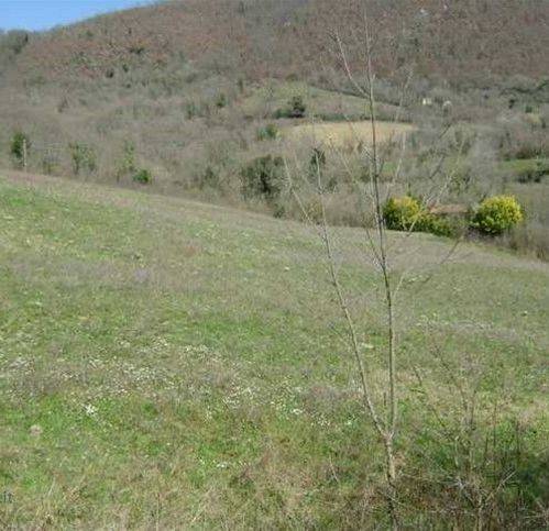 Terreno a Tolfa in Via Del Marano - Foto 3