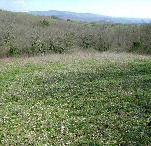 Terreno a Tolfa in Via Del Marano - Foto 5