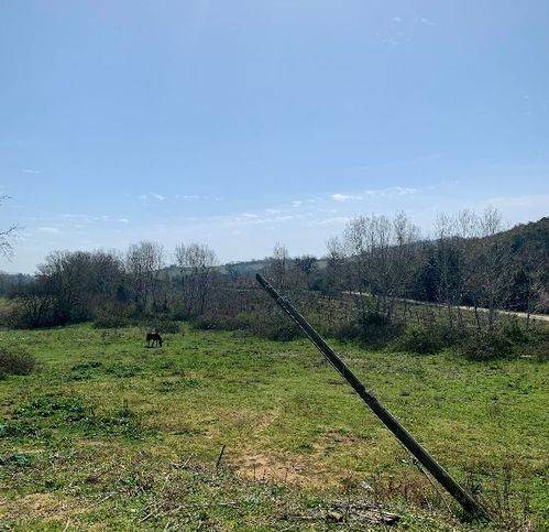 Villa a Magliano in toscana in Zona Boschetto - Foto 5