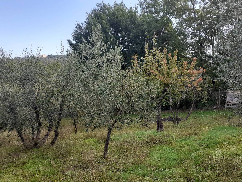 Terreno a Bagno a ripoli in Via Fonte Seconda - Foto 2
