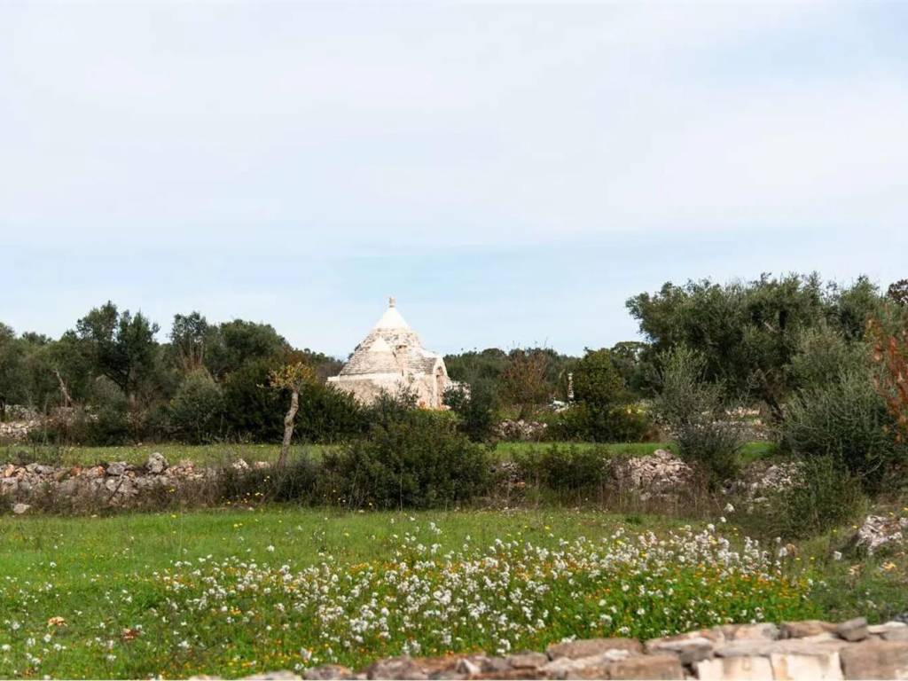 Rustico / casale a Ceglie messapica - Foto 3