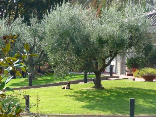 Villa a Aprilia - Foto 2