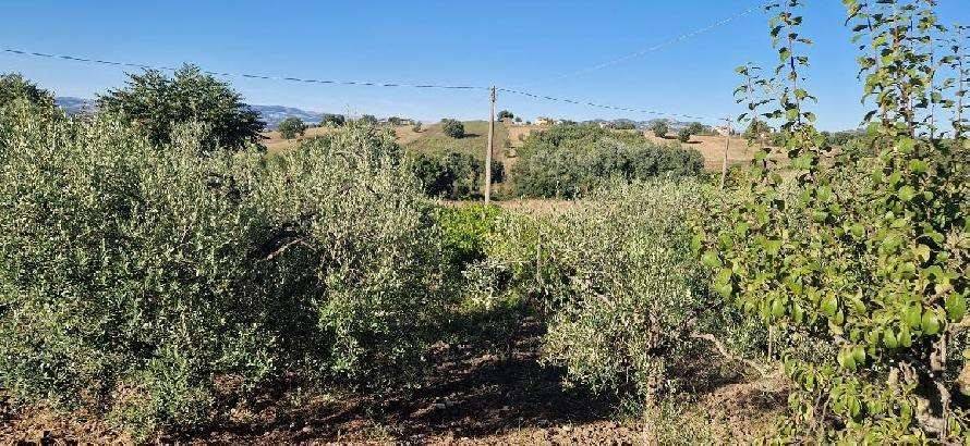 Terreno a Calvi in Via Capozzi - Foto 4