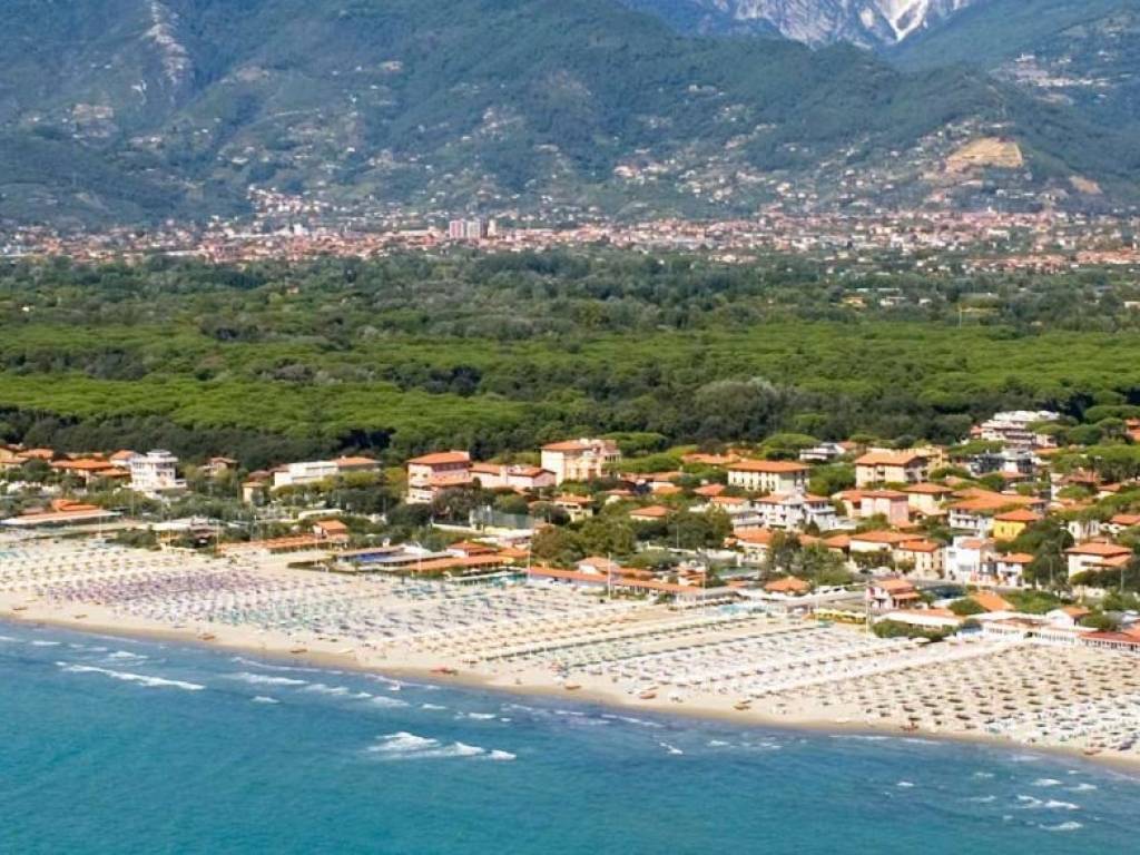 Villa a Pietrasanta in Via Michelangelo Buonarroti - Foto 4