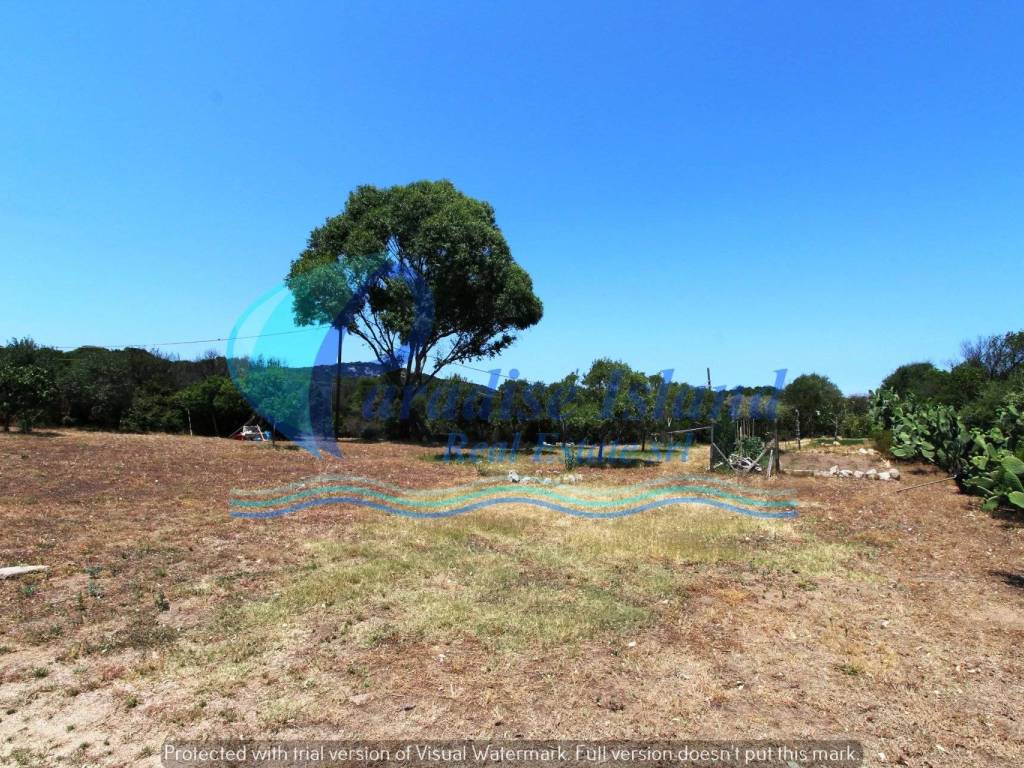 Casa indipendente a Olbia - Foto 4