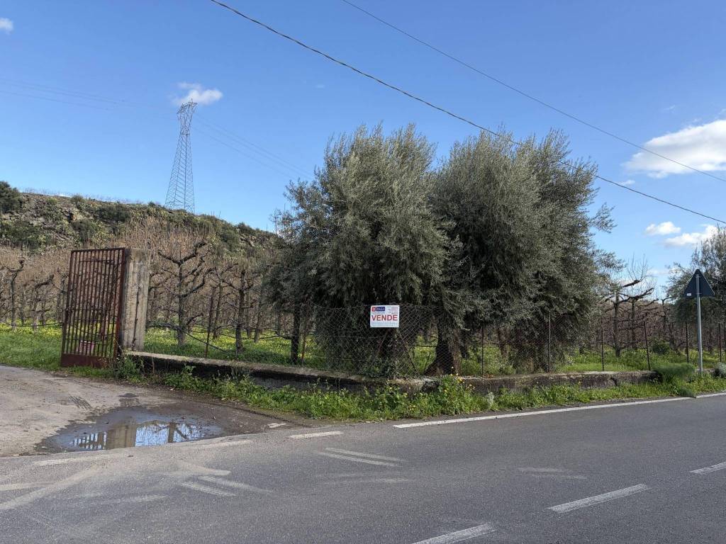 Terreno a Bronte in Contrada Ricchigia - Foto 4