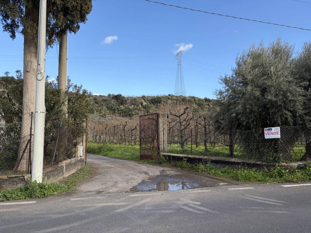 Terreno a Bronte in Contrada Ricchigia - Foto 5